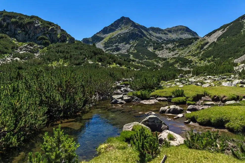 Pirin National Park